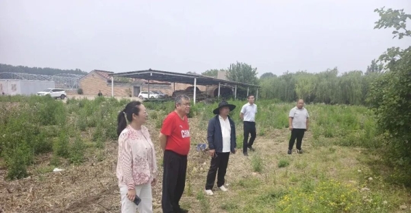 专家团精准下沉田间一线