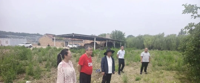 专家团精准下沉田间一线