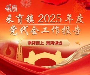 速览！采育镇党代会工作报告要点都在这张图里