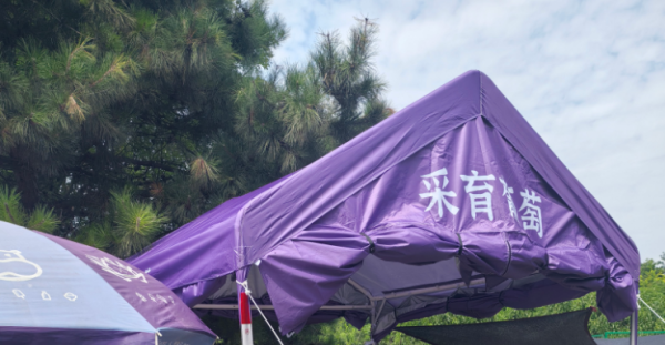 老刘葡萄园欢迎采摘（大兴采育镇）