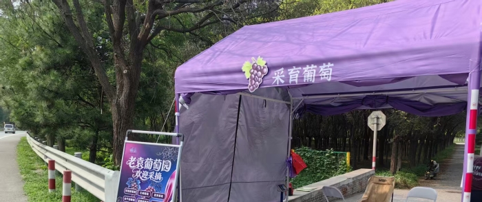老袁葡萄园·欢迎采摘（采育镇下黎城村）