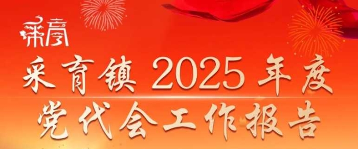 速览！采育镇党代会工作报告要点都在这张图里
