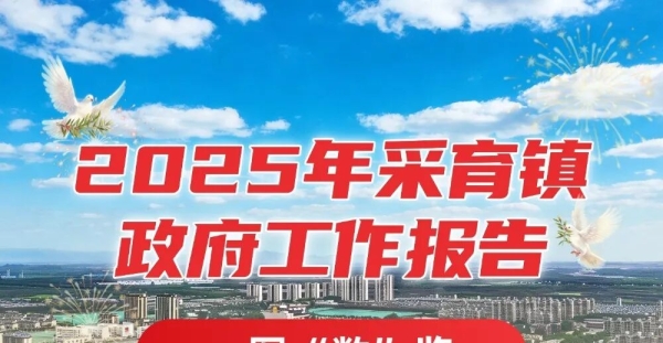 一图“数”览|2025年采育镇政府工作报告