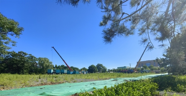 建设的大采育