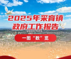 一图“数”览|2025年采育镇政府工作报告