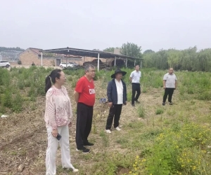 专家团精准下沉田间一线