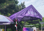老刘葡萄园欢迎采摘（大兴采育镇）