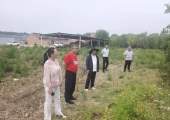 专家团精准下沉田间一线