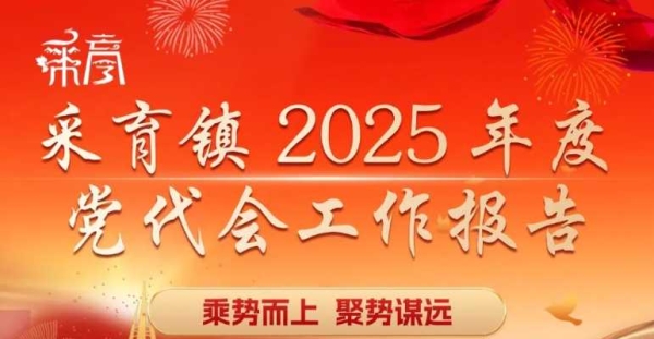 速览！采育镇党代会工作报告要点都在这张图里