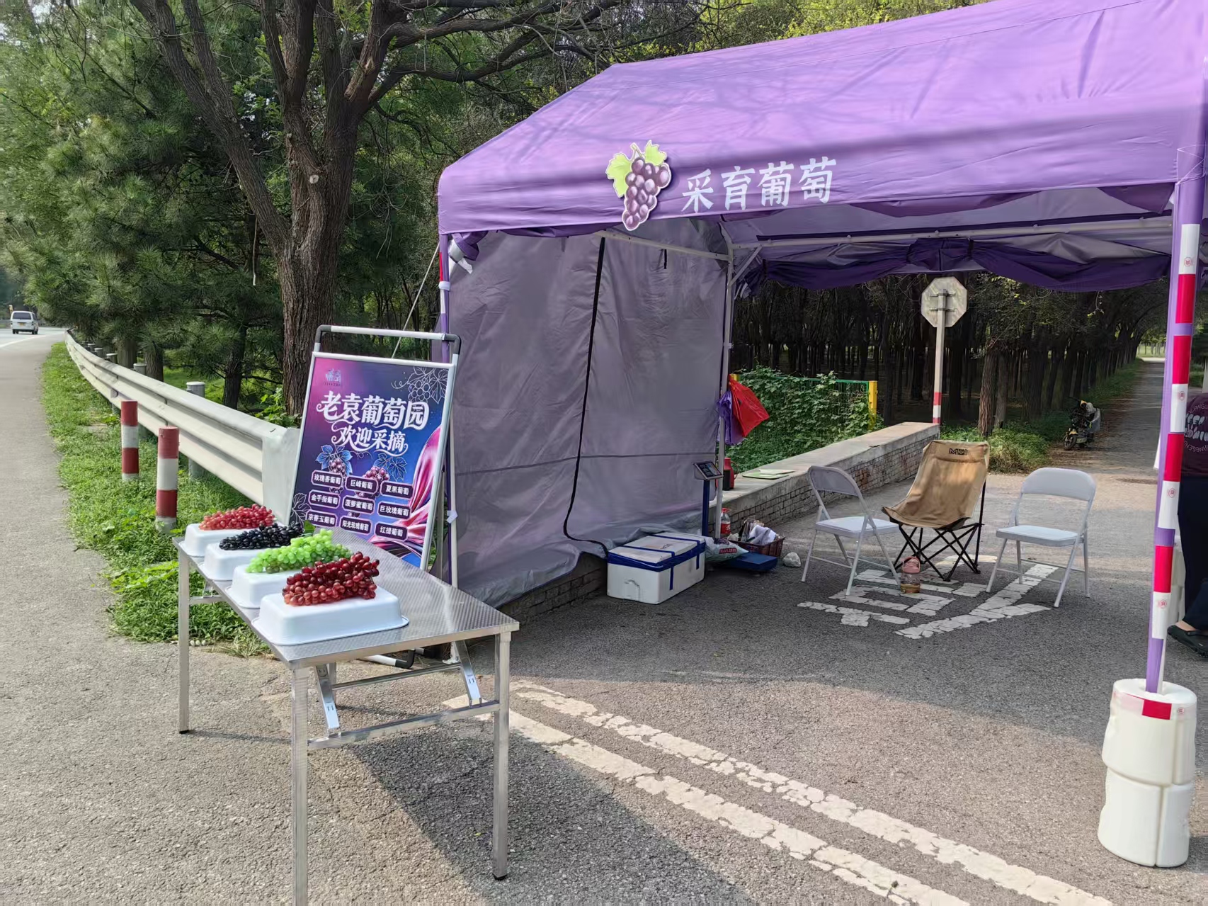 老袁.jpg