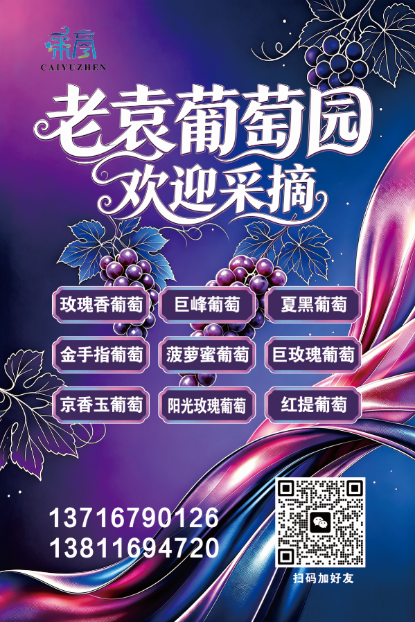 老袁.png