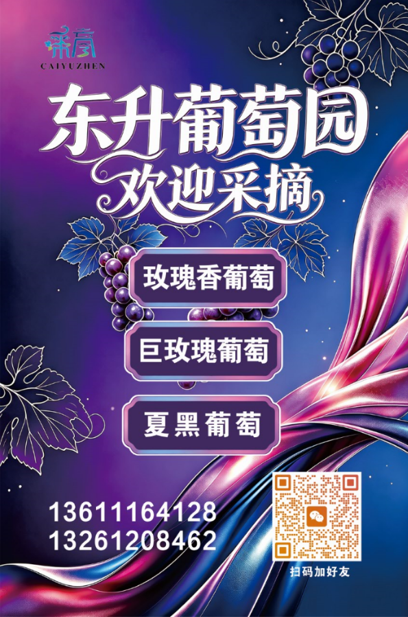 东升.png
