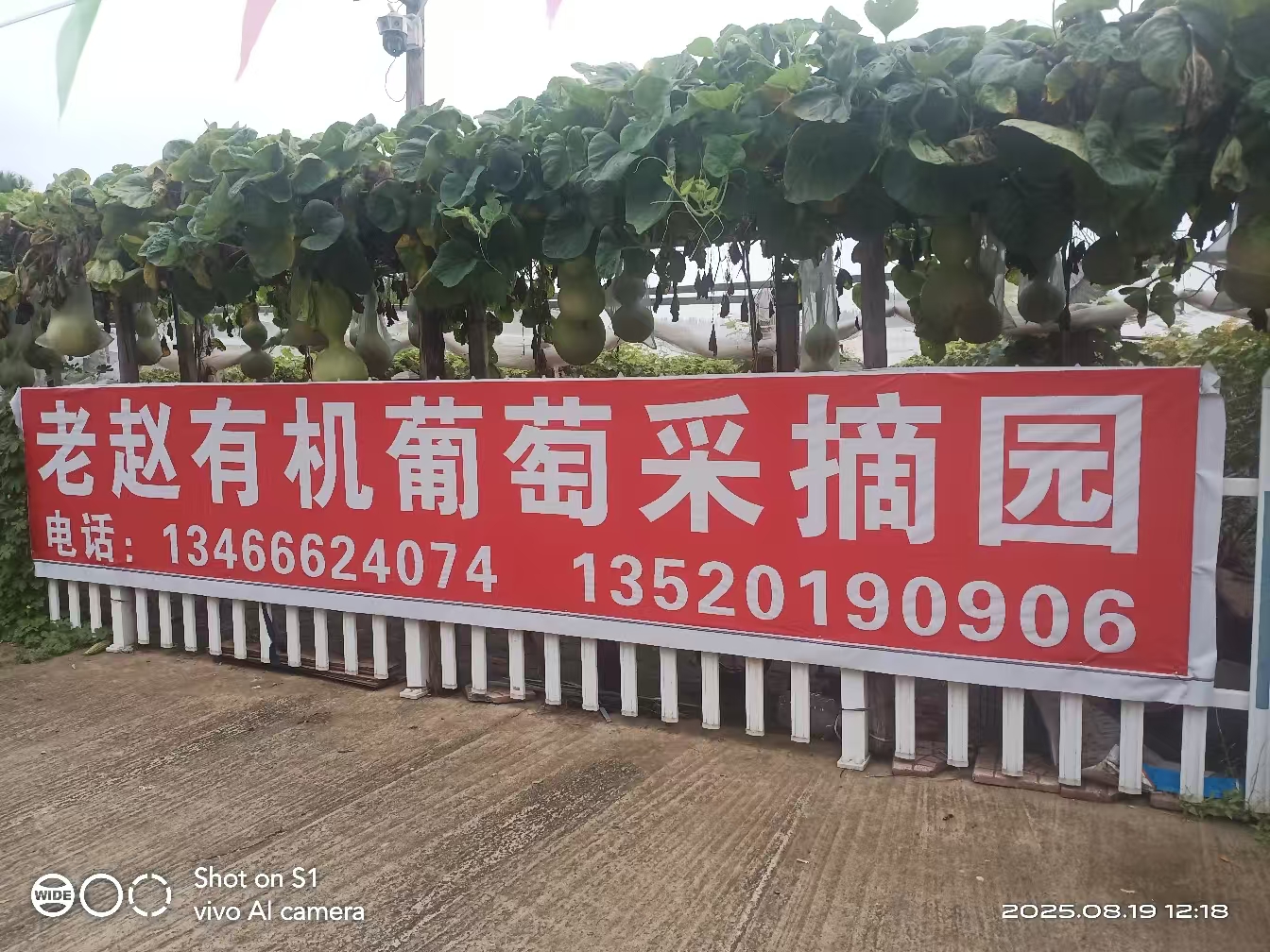 微信图片_20260823173309_4_27.jpg